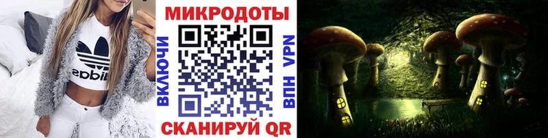 Псилоцибиновые грибы Psilocybe  Вяземский 